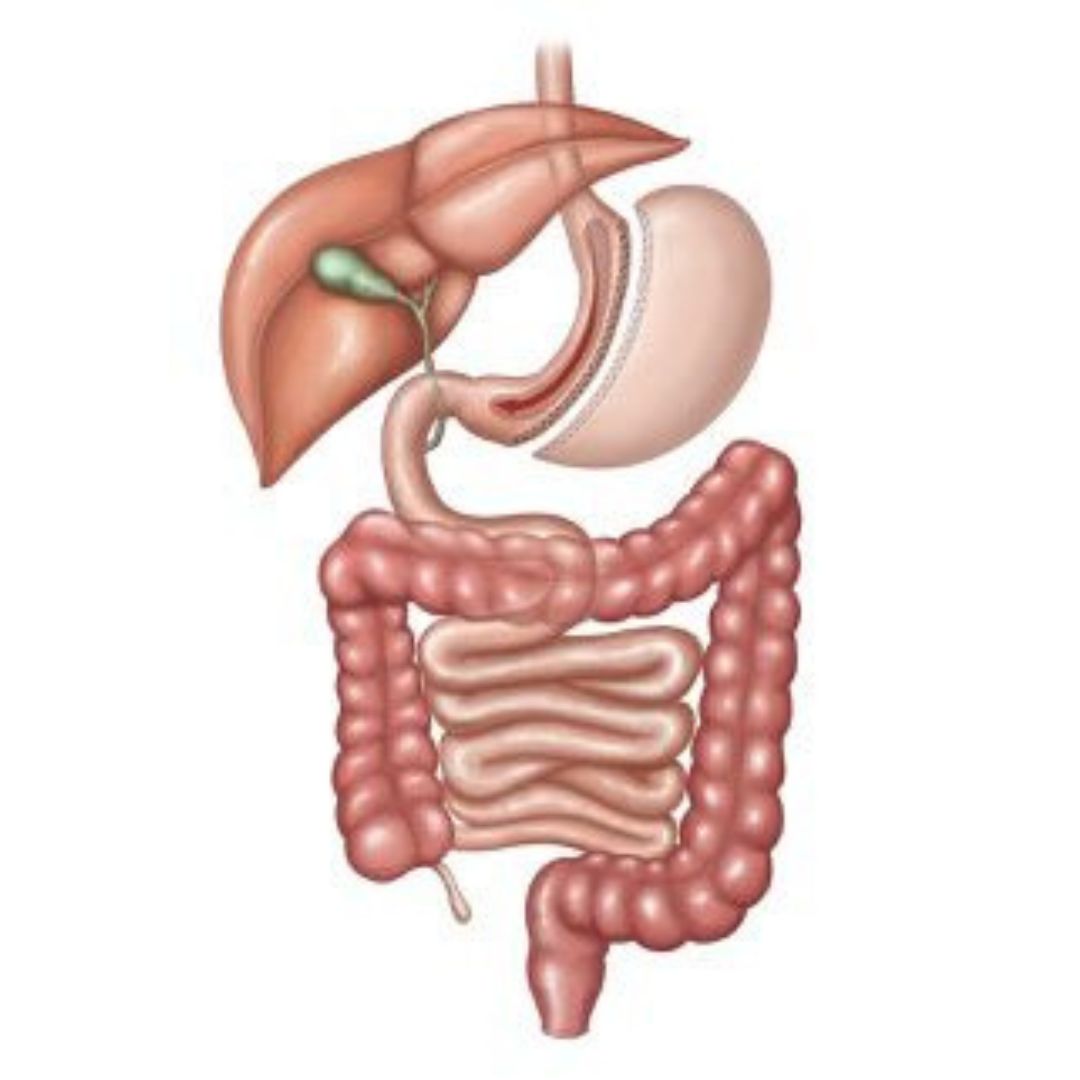 Dr Mauricio Lacerda | Cirurgia Bariátrica